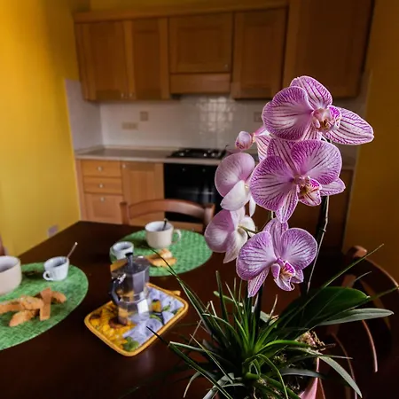 Giglio Dorato Apartament *